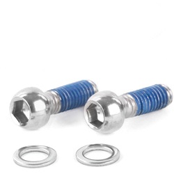 AVID Schrauben M6 Titan Standard | 17 mm für Bremssattel