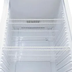 Vertikale Gefriertruhe mit Glastür 258 Liter für die Gastronomie. Gefrierschrank für Bars, Restaurants und Konditoreien.