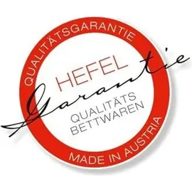 Hefel KlimaControl Fair Sommerdecke (Größe: 155x220 cm)