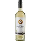 Miguel Torres Santa Digna Sauvignon Blanc Reserva 2024