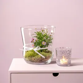 LEONARDO Windlicht VITA Glas Transparent