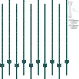 Vevor 5ft T-pfosten, 10er-set, Langlebige Gartenzaunpfosten aus Stahl, für Höfe, Bauernhöfe und Außenzäune, grün