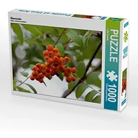 Calvendo Eberesche Puzzle