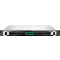 HP Hpe ProLiant DL20 Gen11 2tb Server - Black