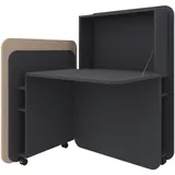 FM Helmets fm FLATup Sekretär graphit/ sandfarben rechteckig, schwarz 107,0 x 41,5 - 91,0 cm