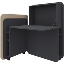 FM Helmets fm FLATup Sekretär graphit/ sandfarben rechteckig, schwarz 107,0 x 41,5 - 91,0 cm