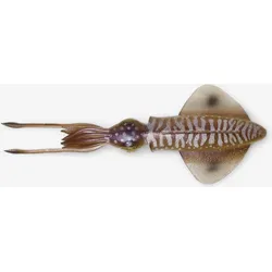 3D Swim-Squid Tintenfisch Kunstköder 12,5 cm EINHEITSGRÖSSE