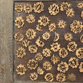 Homestyle4u Paravent Braun 160x170 | Gr.: onesize