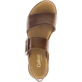 Gabor Damen, Riemchensandalen, Frauen Sandalen,Sandaletten,Sommersandalen,bequem,flach,Sommerschuhe,Strandschuhe,Camel (LDS/S.Kork),40 EU 6.5 UK