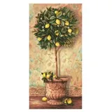 Citrus Limonum Malen nach Zahlen