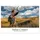 Calvendo Indian Country - Indianer im Westen der USA (Wandkalender 2026 DIN A4 quer), CALVENDO Monatskalender: Indianer Portraits fotografiert in ... Amerikanischen Westens. (CALVENDO Menschen)