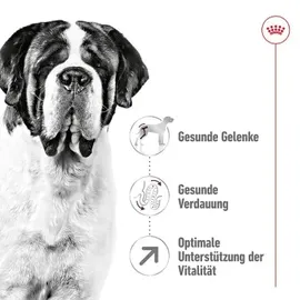 Royal Canin Giant Adult 15 kg