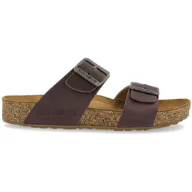 HAFLINGER Bio Andrea Braun 40