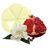 bolsius 110er Pack Creations Schmelzblüten Duftblüten Aromatic Duftwachs Wax Melts (Jasmin-Granatapfel - 98)