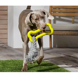 Tchibo - Hundespielzeug - gelb