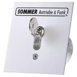 Sommer Schlüsseltaster 1 Kontakt Silber