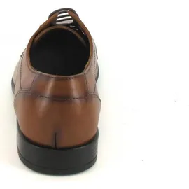 LLOYD Osmond braun 40