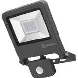 LEDVANCE Endura Flood Sensor Warm White dunkelgrau