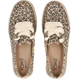 TOMS Carolina Lace Up Damen Beige 38