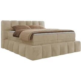 MKS Meble MKS Boxspringbett Creme, Textil, 2-Sitzer, H4, Rechteckig, 140x200 cm, Oeko-Tex®, Schlafzimmer, Betten, Boxspringbetten