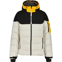 ICEPEAK Edgerton 202 Dampf 202 Dampf 52
