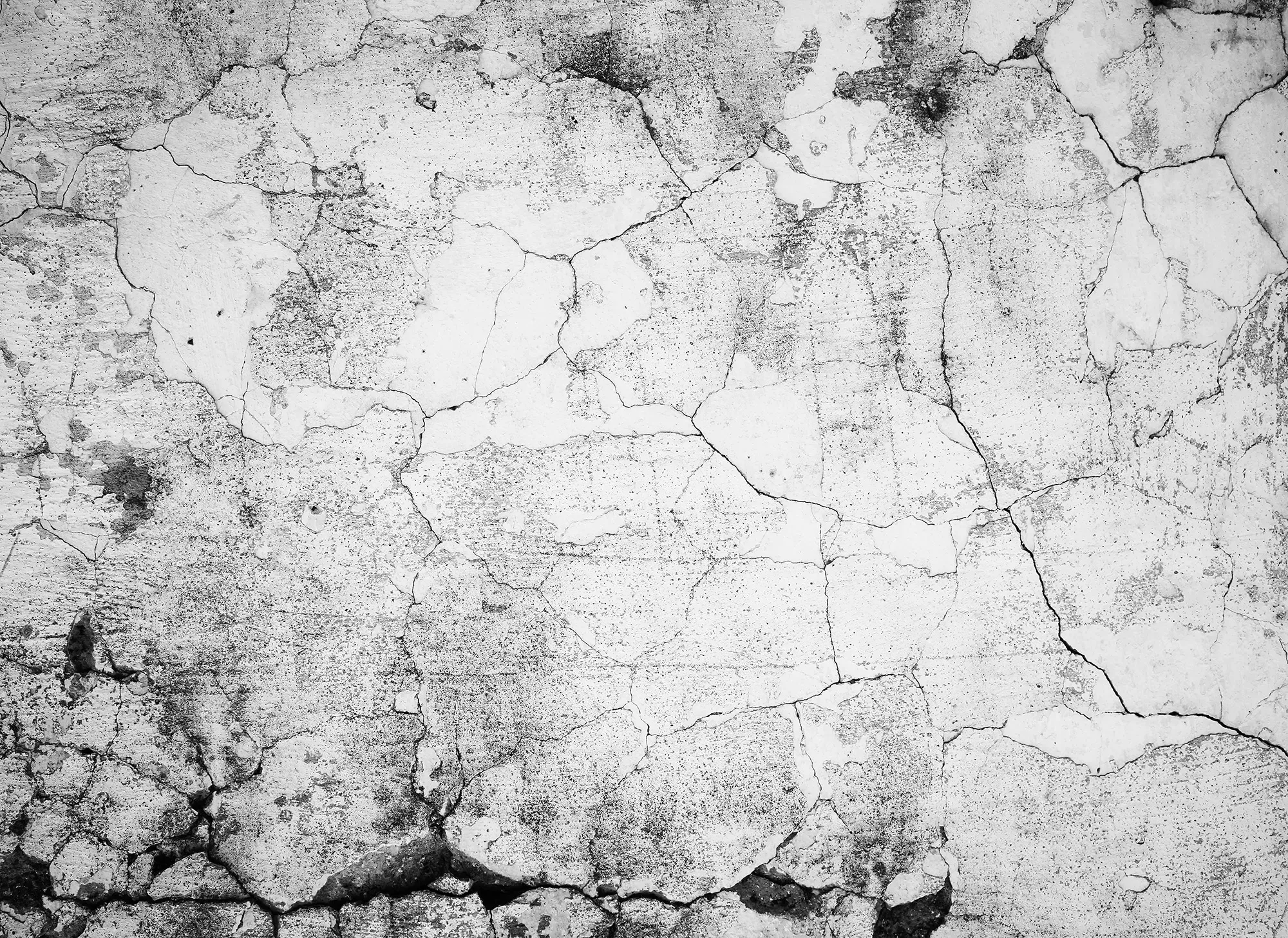 Fototapete LIVING WALLS 