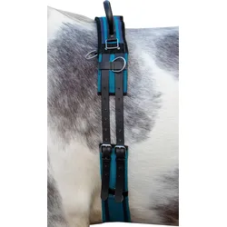 Longiergurt Canvas mit Doppelgriff navy/sky blue navyblau WARMBLUT