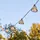 Lumisky Lichterkette Solar 13 m spritzwassergeschützt beige