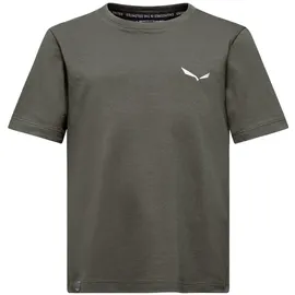 Salewa Graphic Kurzarm-t-shirt - Faded Green - 7-8 Jahre