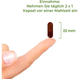 vitality nutritonals Krillöl Royal Kapseln 60 St.
