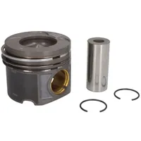 Mahle 081 PI 00103 001