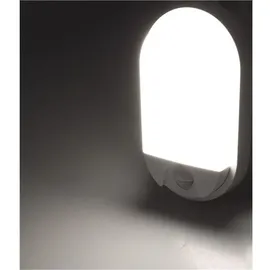 ChiliTec LED Außenlampe mit Bewegungsmelder Reichweite 10W 1010Lumen