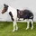 Back on Track Haze Schrittdecke 155 cm Schwarz