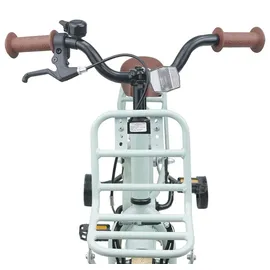 vidaXL Kinderfahrrad 14 Zoll hellgrün
