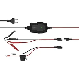 Ansmann BC 6V 2A 12V