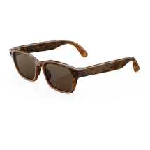 Meta Meta Adventurer, Klassisches Havana, Gläser: Braun AI Glasses