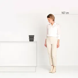 Brabantia Sort & Go Abfallbehälter 6 l mint