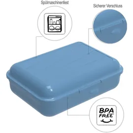 Rotho Fun Lunchbox 1,25l Horizontblau - Rot