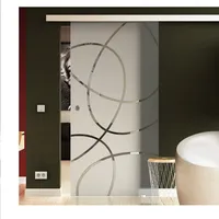 Made in Germany SoftClose Schiebetür aus Glas 1025x2050 mm Ellipsen-Design-Frankfurt (F) Sadora® SlimLine-System komplett Laufschiene und Muschelgriffen für Innenbereich ESG-Sicherheitsglas