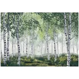 WallArena Fototapete Birkenwald in Grün | Gr.: 300 x 210 cm