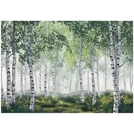 WallArena Fototapete Birkenwald in Grün | Gr.: 300 x 210 cm