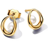 Pandora Ohrstecker Essence 263295C01 - gold