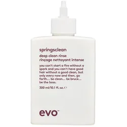 Evo Springsclean Deepclean Rinse 300ml
