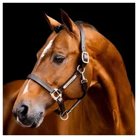 Horseware Signature Lederhalfter - brown - Vollblut