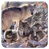 3D LiveLife Kork Matte - Winterwölfe von Deluxebase. Linsenförmige-3D-Kork Wolf Untersetzer. rutschfeste Getränkematte mit Originalkunstwerk lizenziert vom bekannt Künstler David Penfound
