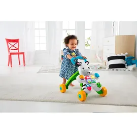 Fisher-Price Learn with Me Zebra Walker (DLD80) (DLD00)