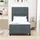 vidaXL Boxspringbett 100 x 200 cm Dunkelgrau