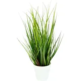 I.GE.A. Kunstpflanze I.GE.A. "Grasbusch", grün, B:20cm H:43cm L:20cm, Obermaterial: 100% Kunststoff, Kunstpflanzen, Kunstpflanze, Kunstgras