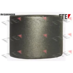 Kolben Bremssattel FTE 9313478