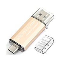 Type C USB-Stick 256GB OTG 2 in 1 Speicherstick Dual-Port USB 3.0 Flash-Laufwerk mit USB C Anschluss für Smartphone, Tablets & Computer (Gold)